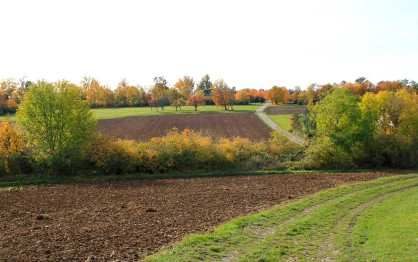 Sint-Margriete-Houtem (Tienen)